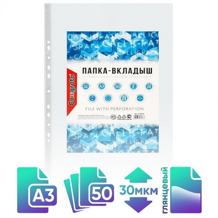 Файл-вкладыш А3, 30 мкм, Calligrata, глянцевый, вертикальный, 50 штук   3258536